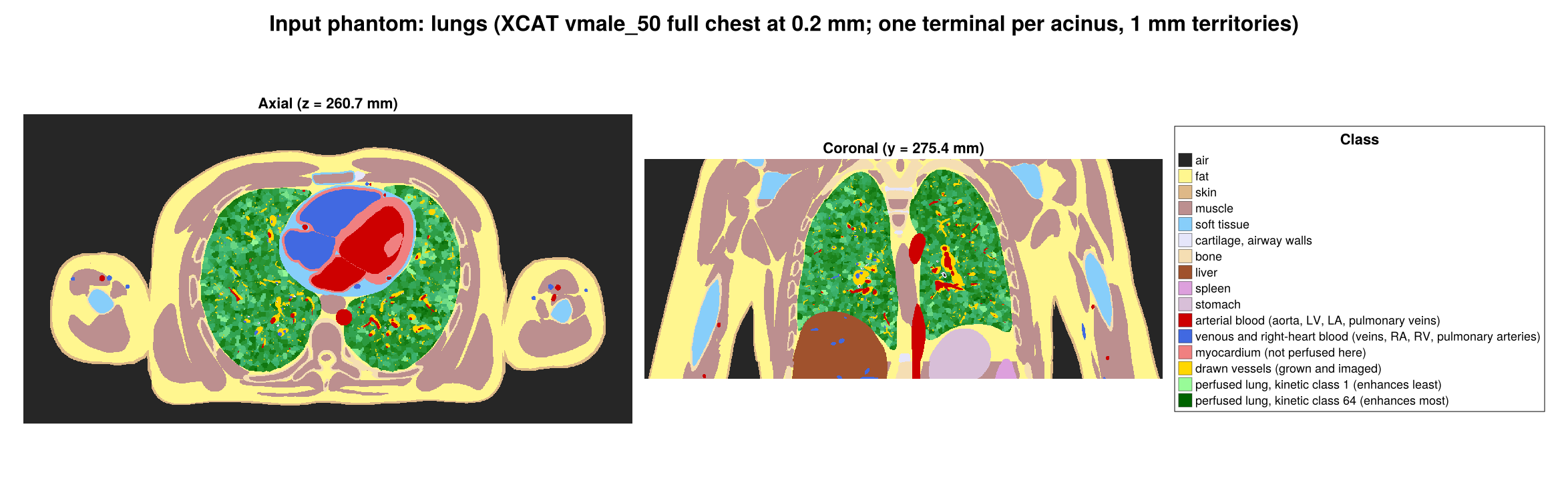 Pulmonary Pipeline